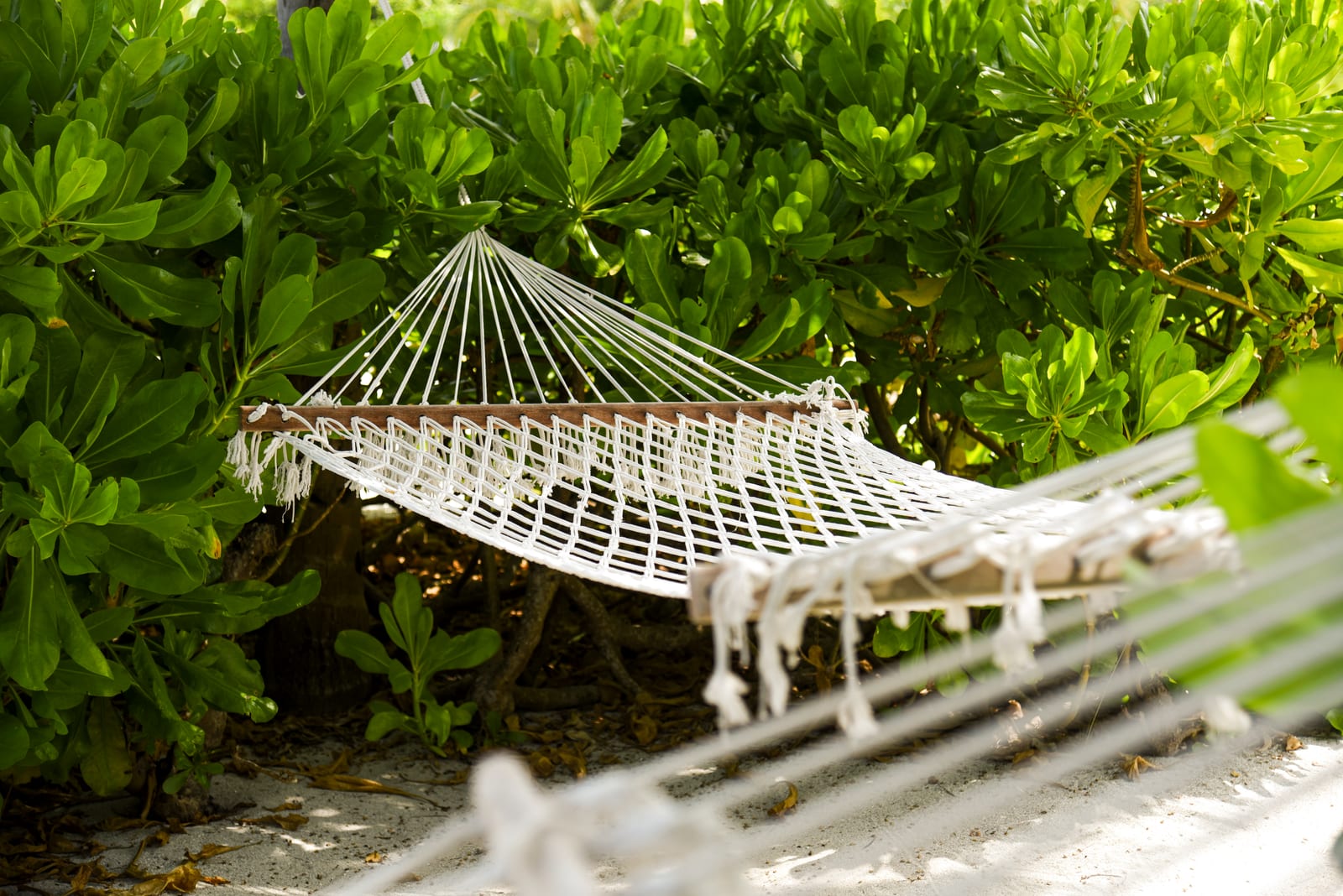 Aerial of Constance Halaveli's crescent of overwater villas in North Ari Atoll