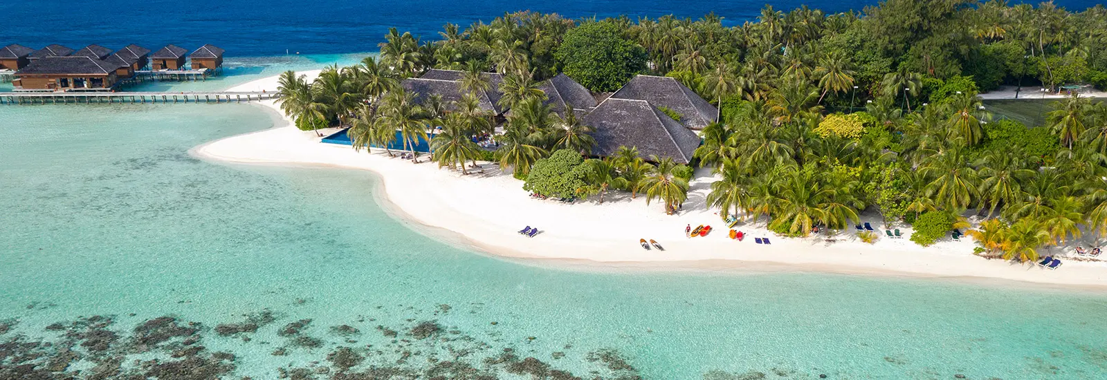 Vilamendhoo's beach villas under coconut palms with shallow lagoon beyond